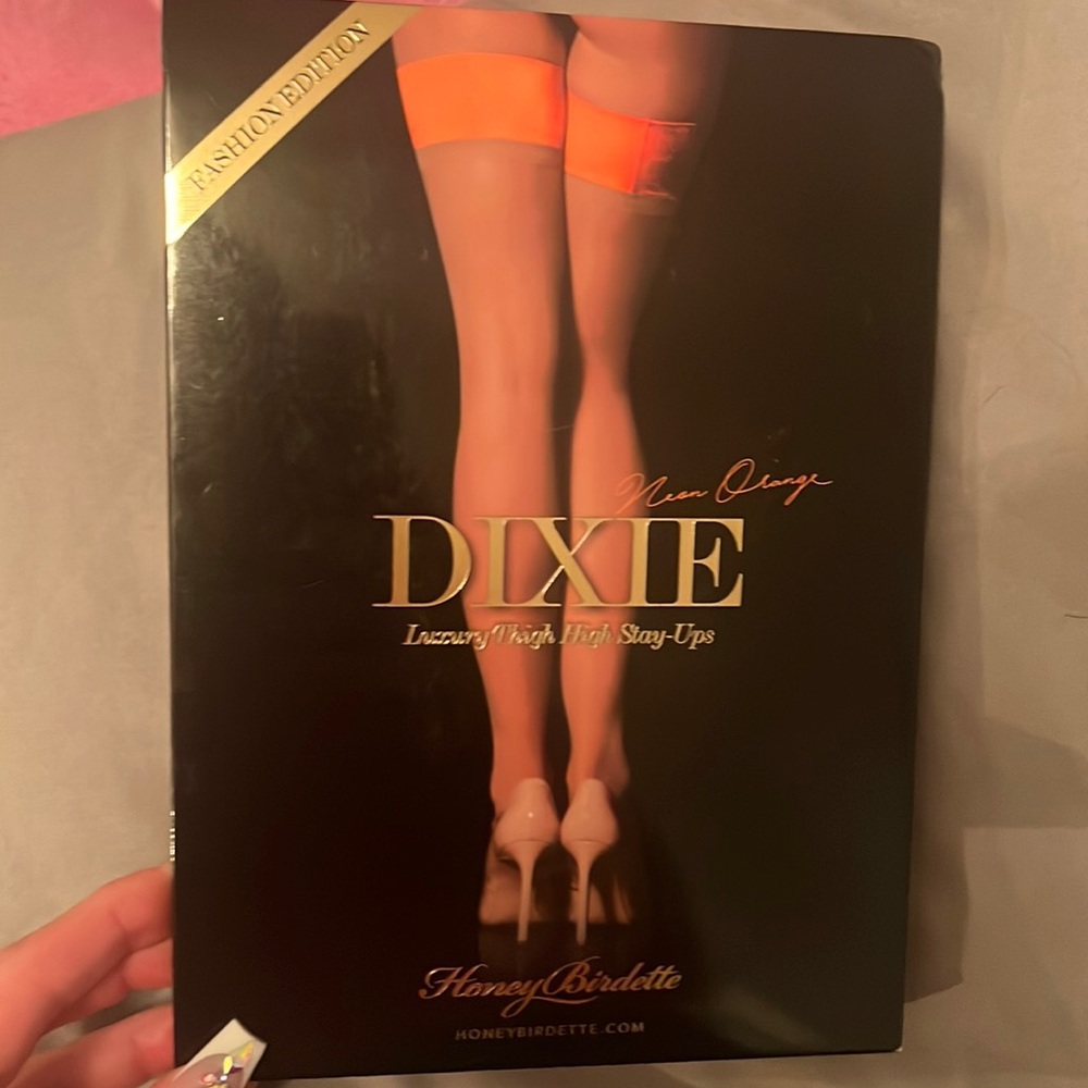 Rare Honey Birdette Dixie orange sheers stockings medium